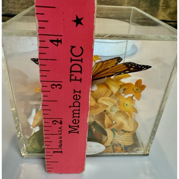Vintage 1970s Real Monarch Butterfly Display Taxidermy Acrylic Case Decor - Picture 12 of 13